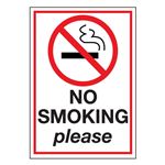 No Smoking Please - Decal